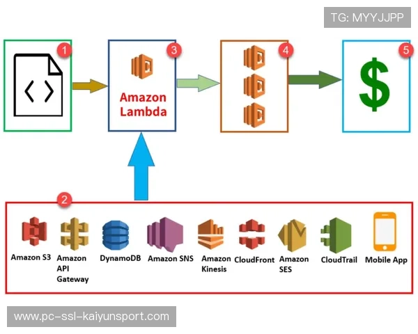 无服务器计算优化突发流量下的资源利用效率